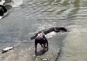 澳男子与鳄鱼抢鱼时不慎将帽子踢向鳄鱼，父亲冒险帮其捡回