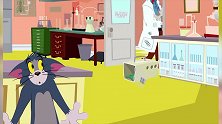 新猫和老威尔斯变回了原来的样子，主人带着它回家了！