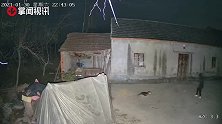 大半夜院子里的狗不停叫唤 女子惊醒调取监控后被眼前画面吓坏