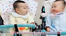双胞胎宝宝飙“婴语”说笑，妈妈听得一脸懵，接下来画面太可爱