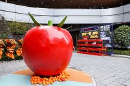 场景思维打造Z世代全方位社群生活体验场