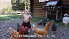 宝宝正在喂鸡，下面请大家憋住别笑，镜头拍下全过程！
