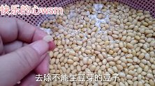 自己动手，丰衣足食，在家生豆芽，安全又健康
