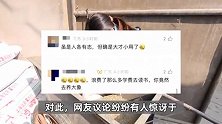 “00后”女孩剑桥毕业后到动物园当饲养员，网友吵翻！本人回应