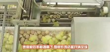 现代化的捕鱼技术有多先进，差点不敢相信自己的眼睛
