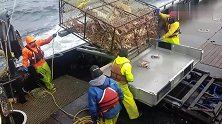 阿拉斯加帝王蟹捕蟹拖船，一个蟹笼捕获够吃一年