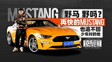 野马 野吗？再快的Mustang也追不回少年时的他！