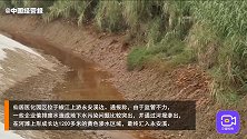 被生态环境部点名，浙江仙居偷排污水，一步登上微博热搜