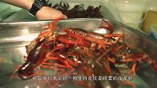 世界上最耐热的虾，生活450度的深海火山，网友：怎么煮熟？
