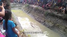 臭水坑里经常水花四溅，两位村民下水撒网，意外事情发生了！