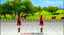 背面演示《春暧花又开》动感时尚，舞姿优美，原创教学