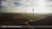 风力发电机模仿鸟类 灵感是一只蜂鸟 比传统风车应用范围更广泛