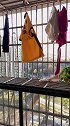 给阳台装上这个防护网 晾晒东西再也不怕掉落了阳台防护网 防护栏