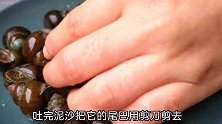 田螺别做老一套，做成田螺煲太美味，有荤有素，鲜嫩多汁又入味