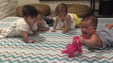 四胞胎宝宝也太萌太可爱了吧，对自动玩具狗狗，从好奇一直到哭！