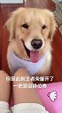 哈哈，没想到吧