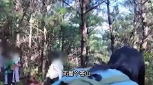 大理采蘑菇爆火，一天超万名游客进山！挖了扔、随意埋、菌丝裸露