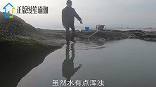 小川赶海发现水坑有动静，抽干后里面竟全是稀奇靓货，抓货抓嗨了