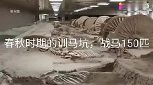 春秋时间的训马坑，战马150匹