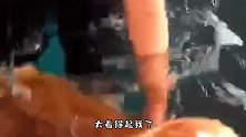 让老公给蒸锅米饭你这是蒸了个定海神针吧