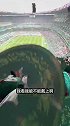 揭幕战发个绿帽！王涛：绿就绿了吧 人家不兴这个
