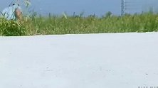 搞笑视频：大家总说男生玩游戏的时候，女朋友会很不高兴，但是很