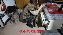 给猫驱虫喂药，这时农村小伙说了什么？这生活待遇就是不一般