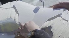 斯坦福大学研制出鸽子机器人，真羽毛加持，将推动新机翼诞生！