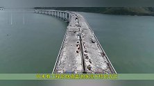 港珠澳大桥团队沉淀了十年！基建狂魔再出手北方首条跨海隧道开建