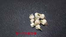 10年蒜农教我保存大蒜小妙招，放1年都不发芽不干瘪还省钱