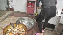 山上捡的菌子不好清洗，几片这种叶子帮了忙，这么多菌子怎么吃