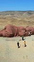 沉睡在荒凉沙漠中的大地之子，安然躺在那里仿佛睡在母亲怀里！