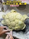 浙江丽水：这是花菜？不，这是国家级非物质文化遗产青田石雕技艺