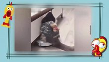 狗子你是在梦游吗？