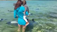 带孩子去海边游玩遇到一群小海豚，这种颜色的海豚见过吗