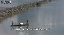 世界最长竹桥，一天收200万过桥费，每年都要拆建一次