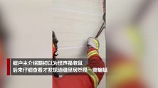 家中接连出现诡异动静 房主看到墙缝里物体后直接报警