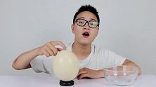 试吃120元一只的巨型鸵鸟蛋，足足3斤重，煎出来啥味道？