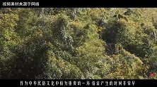 古人言：“四十亲三人，如玩火自焚”，读懂这个道理后受益无穷
