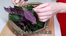 凉拌血皮菜，焯水时有3个窍门，好多人不清楚，难怪拌出来不好吃