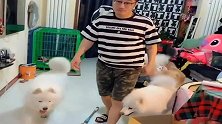 主人罢工不拖地了，铲屎官回头一看想到哈士奇， 下一秒忍住别笑
