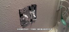 一只过街老鼠被喜鹊发现，下场比遇到猫还惨，老鼠内心是崩溃的
