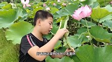 荷塘里的莲蓬长得好茂盛，爸爸一会功夫就摘了10几个，特别清甜
