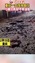 重庆一女孩放烟花引爆化粪池遇难，政府正处理后续工作放鞭炮