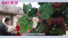 胖妹去投资的养鸡场视察，老板是大洋，夫妻做生意，赔了算谁的？