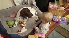 小宝宝拿食物喂小狗狗，小狗狗在沙发上不理会小宝宝！