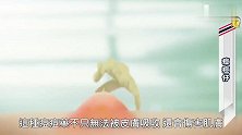 泰国脑洞广告：把这些嚣张的痘痘一网打尽