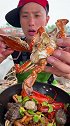 顶盖肥海鲜梭子蟹