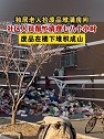独居老人捡废品堆满房间，清理了七八个小时，废品在楼下堆积成山