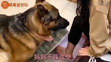 男主人吩咐媳妇做事，狗狗想让妈妈多睡会，叼着拖鞋扔垃圾桶里